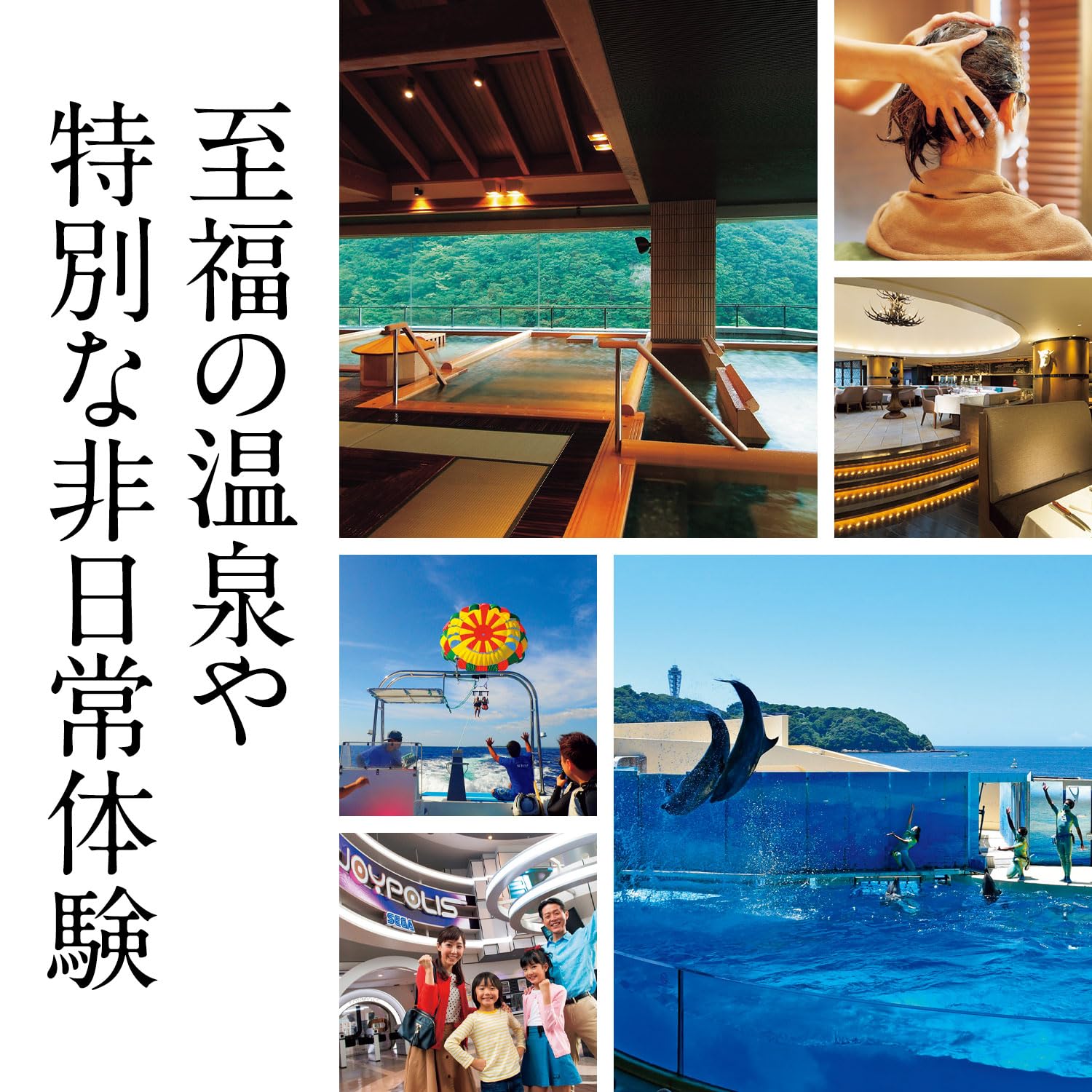 Amazon | 総合版カタログギフト MUSUBI 千歳緑（内祝い、お祝いなど